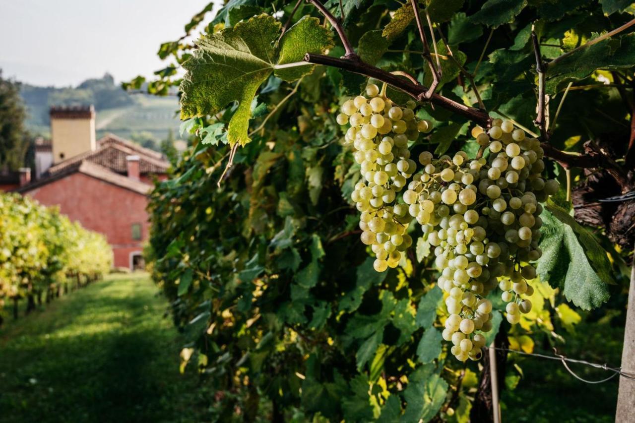 Villa Clementina - Prosecco Country Hotel San Pietro Di Feletto Bagian luar foto